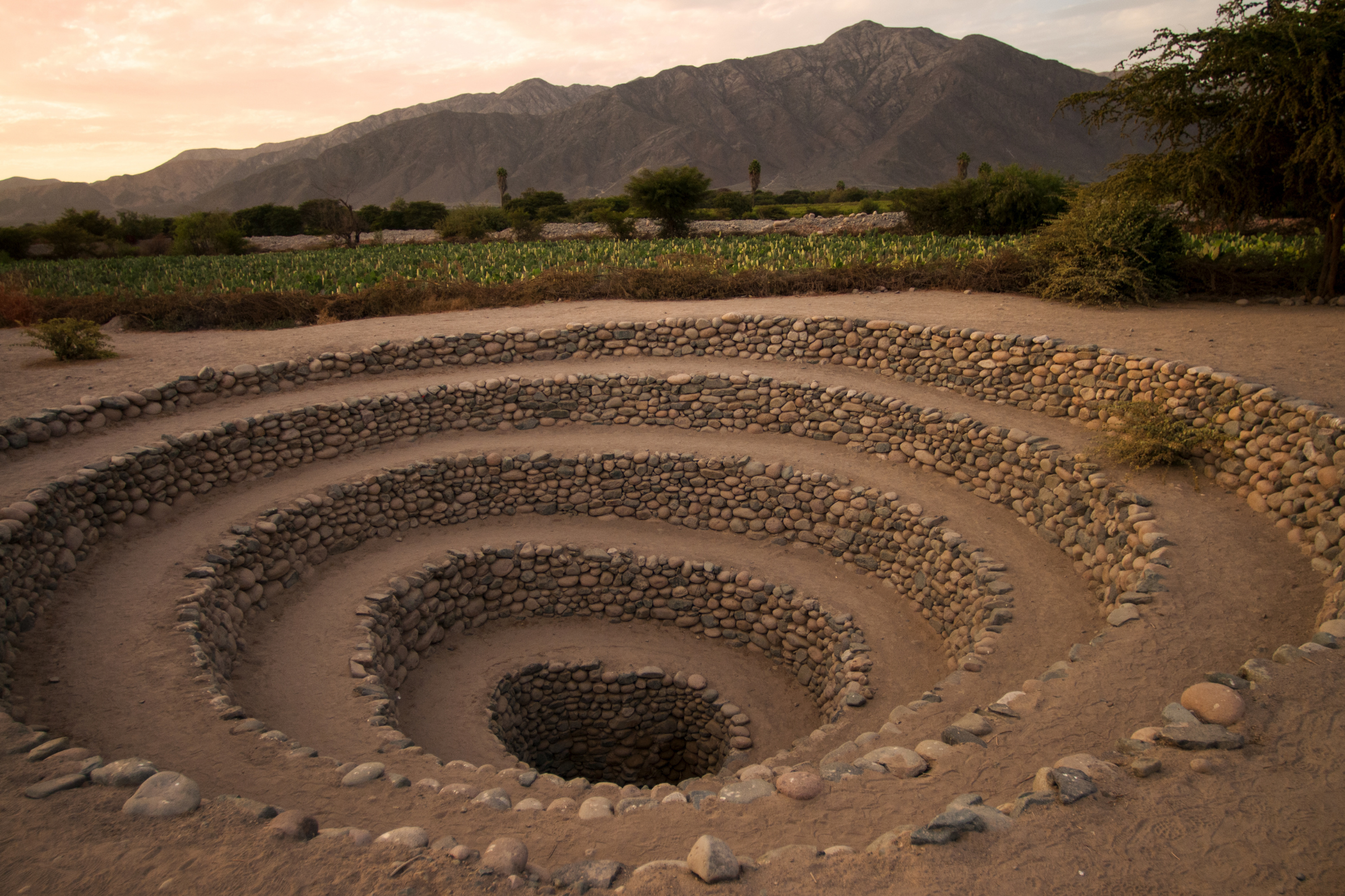 nazca (2).webp